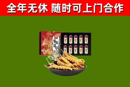 仪征市烟酒回收冬虫夏草礼盒.jpg